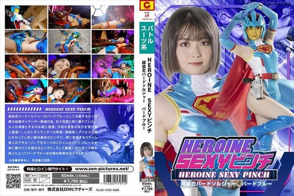 HEROINESEXYピンチ 超装忍バードソルジャー バードブルー