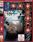 被害者はいつも女 密室婦女暴行魔2