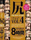 尻 THE BEST OF IRIS Vol.4