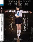 もう一度だけ会えたなら… 十字架の上のパライソ 枢木あおい