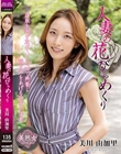 人妻の花びらめくり 美川由加里