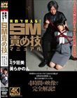 実戦で使える!SM責め技マニュアル