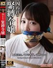 囚われの緊縛令嬢 DIDコレクション1