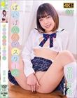 宮田芽依/ぱいぱんハイスクール