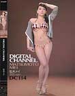DIGITAL CHANNEL DC114 ¼–{ƒƒC