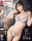 ULTRA HOT SEX 野々浦暖発蒸中。興奮は液体を超えてイく。〜体の芯まで熱し合うHOTコア・ガズムの全て〜 02