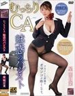 むっちりCA 魅惑のパンスト 星明日菜