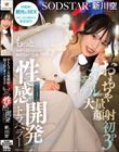 おもちゃ・大量顔射・初3P・オイルエステ もっと気持ち良くなるために初めての一人旅 3泊4日の性感開発トラベラー 新川空