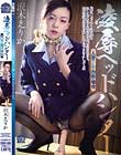 凌辱ヘッドハンター 人妻CA・由美の場合 沢木えりか