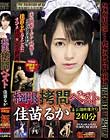 極限拷問ベスト 佳苗るか 未公開映像含む240分