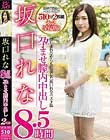 坂口れな8.5時間 孕ませ膣内中出し