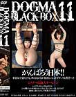 DOGMA BLACK BOX 11 Disc3-Disc4