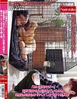 「助けは来ない…」拉致監禁され犯されているのに何度も何度も激イキしてしまう四十路人妻