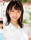 新人NO.1STYLE 河北彩花AVデビュー