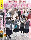 修学旅行生 6